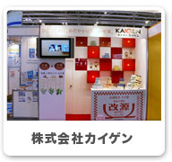株式会社カイゲン