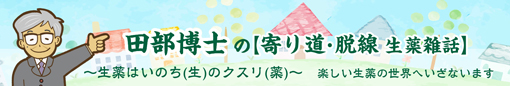 田部博士の寄り道・脱線 生薬雑話